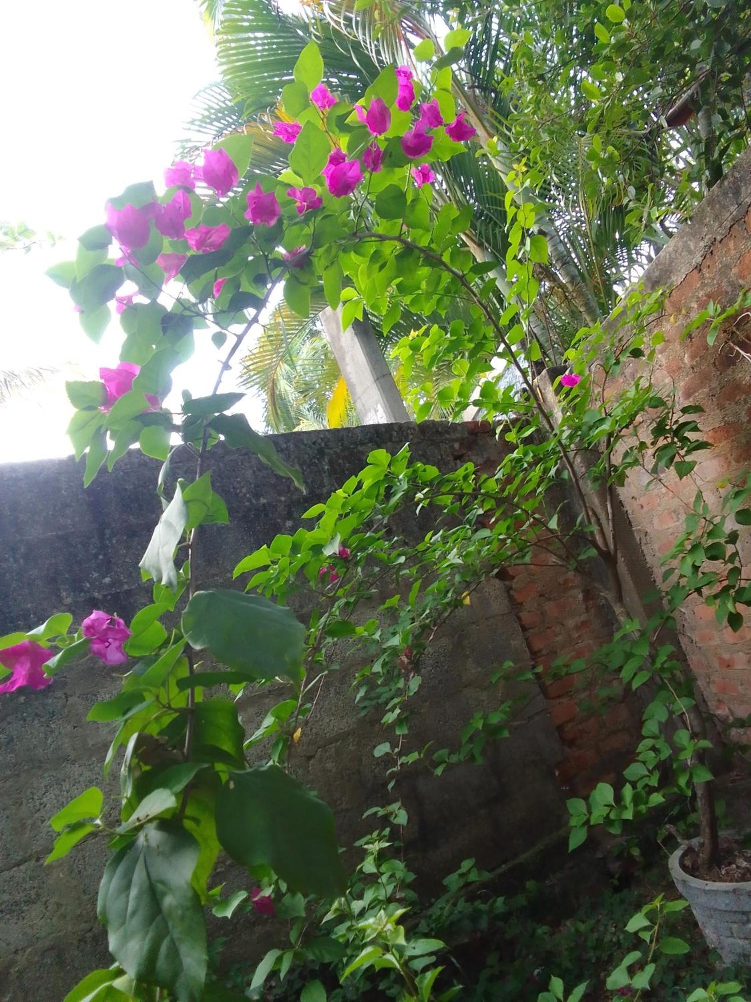 Tinu Homestay Mirissa Exterior photo
